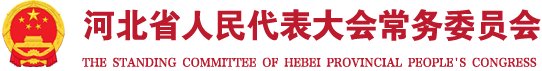 栏目用于追新